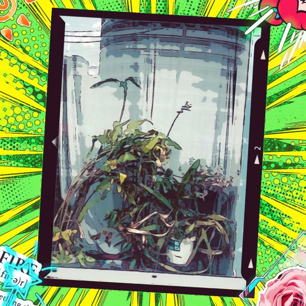 Minhye J – LET’S&nbsp;LOVE!