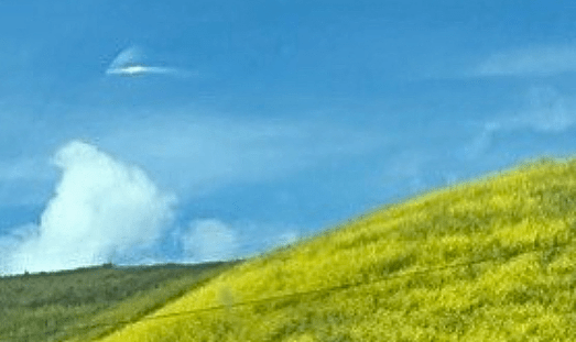 Sunbeam42 Channels Earth’s Whisper and the Universe’s Pulse in New Spellbinding Ambient Album ‘Land After Rain, Pt.&nbsp;2’