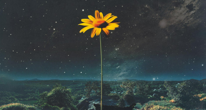 RISE x stayMellow Blow Up with ‘Always’: A Commercial Rock Hit You Can’t Turn Off